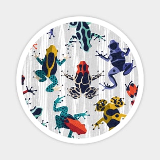 Quirky dart frogs dance // pattern // grey textured background brightly multicoloured poison amphibians Magnet